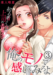 俺のモノで感じてみろよ～初心者でも分かる上司のエロテク～（3）