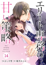 comic Berry’sエリート専務の甘い策略14巻