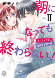 朝になっても終わらないっ！【単行本版】II～ビンカン乙女は絶倫御曹司の虜～【電子版特典付】