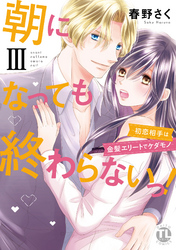 朝になっても終わらないっ！【単行本版】III～初恋相手は金髪エリートでケダモノ～