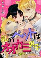 私のペットはオオカミ男子～ただいま「待て」をしつけ中～03