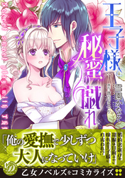 王子様と秘蜜の戯れ