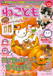 ねこともvol.22