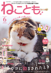 ねことも vol.73