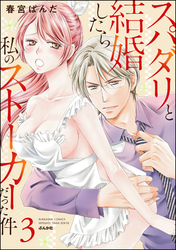 スパダリと結婚したら私のストーカーだった件【かきおろし漫画付】　（3）