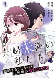 夫婦未満の私たち～結婚する？しない？土壇場のサドンデス