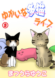 ゆかいな多猫ライフ【分冊版】3