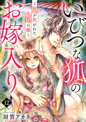 いびつな狐のお嫁入り～鬼が焦がれた九尾の娘～(12)