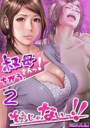 叔母さんっ！ちがう、そうじゃないっ！！　2巻