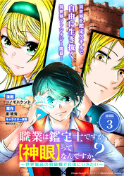 職業は鑑定士ですが【神眼】ってなんですか？　～世界最高の初級職で自由にいきたい～ 連載版：3