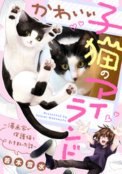 かわいい子猫のアイランド　～漫画家が保護猫を引き取った話～