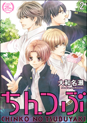 ちんつぶ 最終章（分冊版）　【第2話】