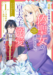 王妃になる予定でしたが、偽聖女の汚名を着せられたので逃亡したら、皇太子に溺愛されました。そちらもどうぞお幸せに。（コミック） 分冊版 28