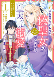 王妃になる予定でしたが、偽聖女の汚名を着せられたので逃亡したら、皇太子に溺愛されました。そちらもどうぞお幸せに。（コミック） 分冊版 13