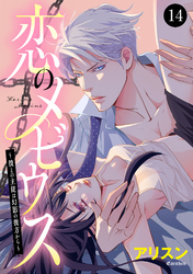 恋のメビウス～彼との主従は幻影の彼方から～　14