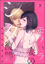 モラハラサレ妻のシタ復讐（分冊版）　【第29話】
