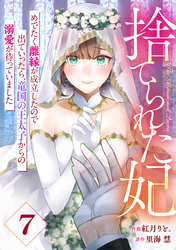 Berry’sFantasy捨てられた妃　めでたく離縁が成立したので出ていったら、竜国の王太子からの溺愛が待っていました7巻