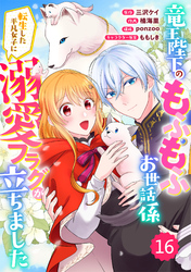 Berry’sFantasy竜王陛下のもふもふお世話係～転生した平凡女子に溺愛フラグが立ちました～16巻