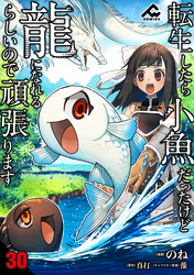 【分冊版】転生したら小魚だったけど龍になれるらしいので頑張ります 第30話