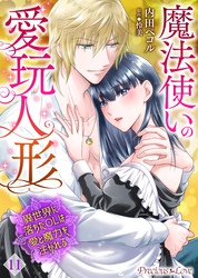 魔法使いの愛玩人形　異世界に落ちたOLは愛と魔力を注がれる 11