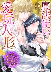 魔法使いの愛玩人形　異世界に落ちたOLは愛と魔力を注がれる 08