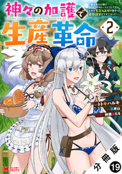 神々の加護で生産革命～異世界の片隅でまったりスローライフしてたら、なぜか多彩な人材が集まって最強国家ができてました～（コミック） 分冊版 19