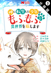 神に転生した少年がもふもふと異世界を旅します（コミック） 分冊版 3