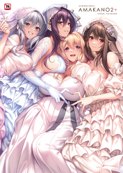 アマカノ2+ ビジュアルファンブック