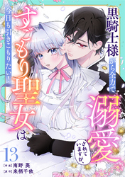 Berry’sFantasy黒騎士様から全力で溺愛されていますが、すごもり聖女は今日も引きこもりたい！13巻
