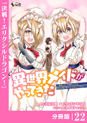 異世界メイドがやってきた～異邦人だった頃のメイドが現代の我が家でエッチなメイドさんに～【分冊版】（ノヴァコミックス）２２