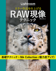 Lightroom カラー作品を仕上げるRAW現像テクニック