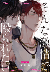 そんな激情で殴られたい【20P小冊子】