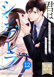 comic Berry’s君はシンデレラ～孤高な御曹司が絶え間なく愛を注ぐ理由～【財閥御曹司シリーズ】12巻