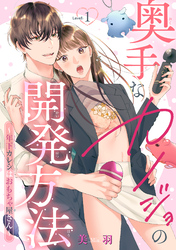奥手なカノジョの開発方法～年下カレシはおもちゃ屋さん～ 【短編】