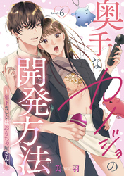 奥手なカノジョの開発方法～年下カレシはおもちゃ屋さん～ 【短編】Level.6