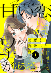 甘い恋にはワナがある～初恋と再会した夜～