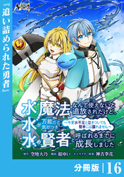 水魔法なんて使えないと追放されたけど、水が万能だと気がつき水の賢者と呼ばれるまでに成長しました～今更水不足と泣きついても簡単には譲れません～【分冊版】１６