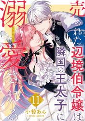 【期間限定　無料お試し版】売られた辺境伯令嬢は隣国の王太子に溺愛される 11