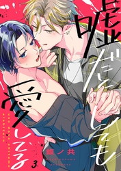 嘘だとしても愛してる３