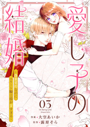 愛し子の結婚～偽装契約なのにエリート騎士様が甘すぎる～３