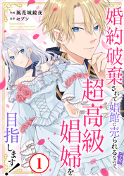 【期間限定　無料お試し版】婚約破棄されて娼館に売られる（予定）なので、超高級娼婦を目指します！1