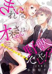 きれいなオネエさんは野獣でした！？～エリートさんと社畜女子(13)