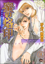 凍る灼熱（分冊版）　【第11話】