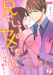 兄でいるの、ヤメてもいい？～朝まで何度も繋がって～(2)