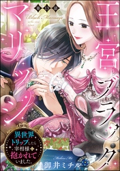 王宮ブラックマリッジ 異世界トリップしたら宰相様に抱かれていました。（分冊版）　【第13話】