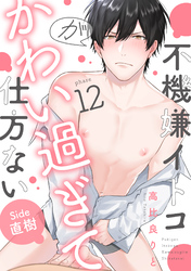 不機嫌イトコがかわい過ぎて仕方ない(12)　side直樹